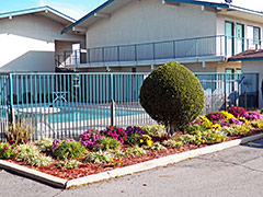 Motel 6 