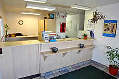 Motel 6 