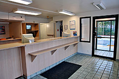 Motel 6 