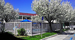 Motel 6 