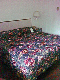 Motel 6 