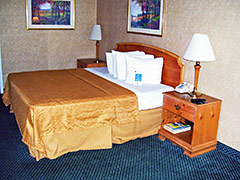 Motel 6 