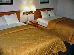 Motel 6 