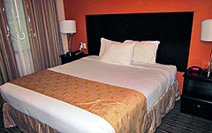 Motel 6 