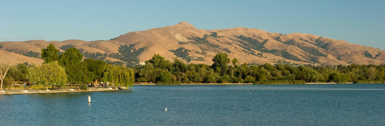 getBrandName() | Fremont, CA - North | Featured Guest Room
