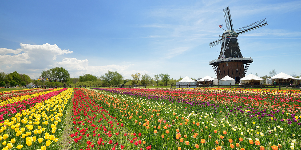 holland