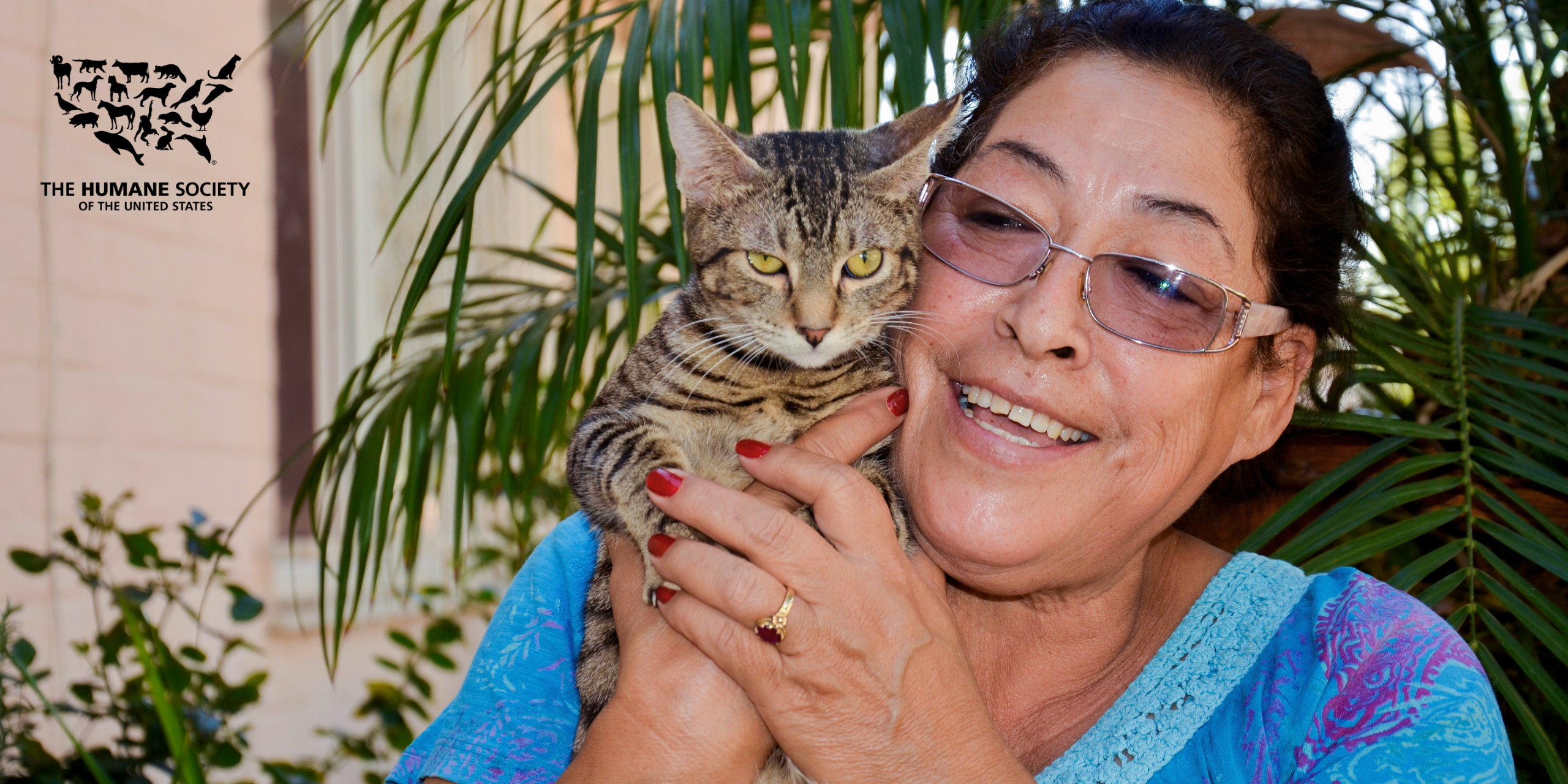 Supporting Pets And Pet Owners