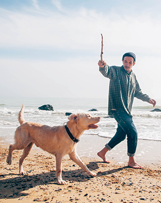 My6 Promo dog and man on beach